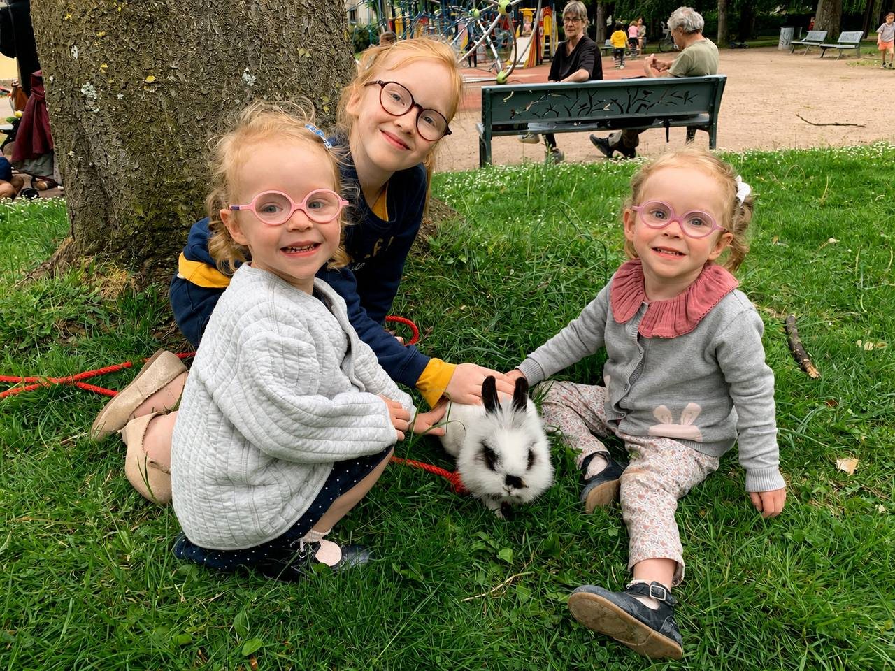 Trois enfants caressant un lapin lors d'une sortie au parc